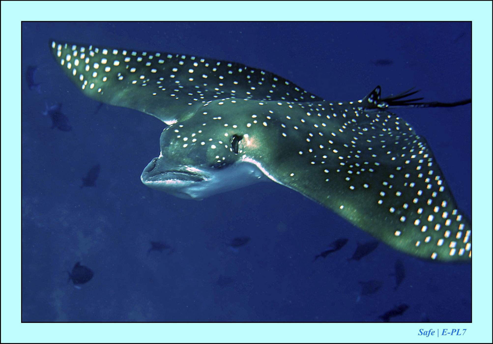 2023 - 07 - Sandies Bathala - 105